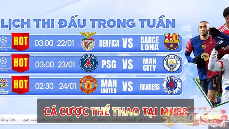 ca-cuoc-The-Thao-tai-Mu88.jpg